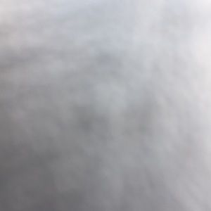 Meet your Posher, Donald